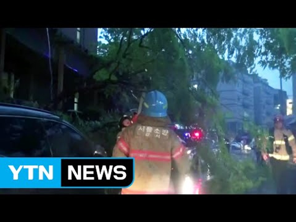 폭우에 가로수 쓰러져 주차 차량 2대 덮쳐 / YTN (Yes! Top News)