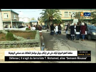 الحصاد الإخباري ليوم الثلاثاء 14 نوفمبر 2017