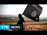 'IS, 세계 곳곳 대리 타격으로 전환 가능성' / YTN (Yes! Top News)
