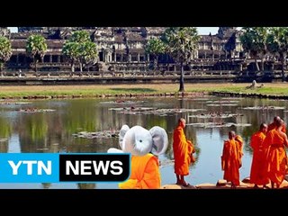 "아들이 잃어버린 코끼리 인형은 세계 여행 중" / YTN (Yes! Top News)