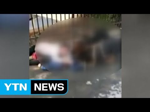 [영상] 목줄 없는 맹견으로부터 손자 지키려는 할머니 / YTN