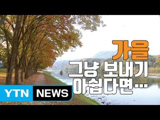 [자막뉴스] 가을의 끝자락 '영동 송호관광지'에서 힐링하세요 / YTN