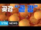 [자막뉴스] 붉게 물든 양촌 마을...곶감 만들기 '한창' / YTN