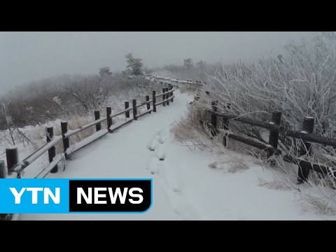 설악산 올해 첫눈...고지대 안전 운행 주의 / YTN