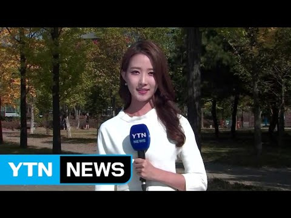 [날씨] 전국 맑고 포근...도심 속 단풍 만끽해요 / YTN