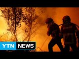 '산불 천지' 포르투갈...소방대원 90%가 자원봉사자 / YTN