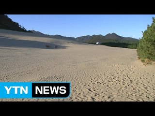 사라지는 섬 자연 유산들...대청도 해안 사구 / YTN