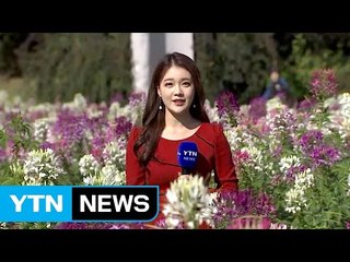 [날씨] 내륙 맑고 선선...해상 거센 풍랑, 해안도 강풍 / YTN