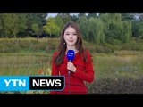 [날씨] 내일 '상강' 내륙 맑고 쌀쌀...해상 풍랑, 해안 강풍 / YTN