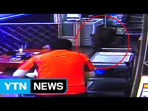 널 여기서 만날 줄은...감자팅 먹다 만난 멧돼지 / YTN (Yes! Top News)