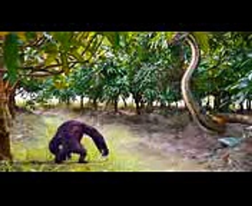 Phim Siêu Nhân  NGƯỜI NHỆN vs SIÊU NHÂN GAO & CÔNG CHÚA ELSA  Săn Rắn Khổng Lồ (1)