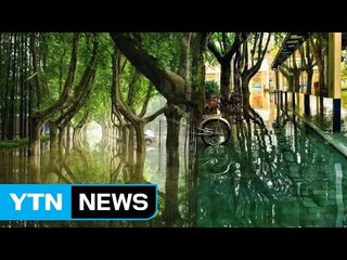 홍수가 만들어 낸 '마법의 숲' / YTN (Yes! Top News)