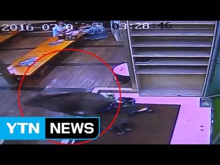 [영상] 식당에 멧돼지 난입...손님은 '혼비백산' / YTN (Yes! Top News)