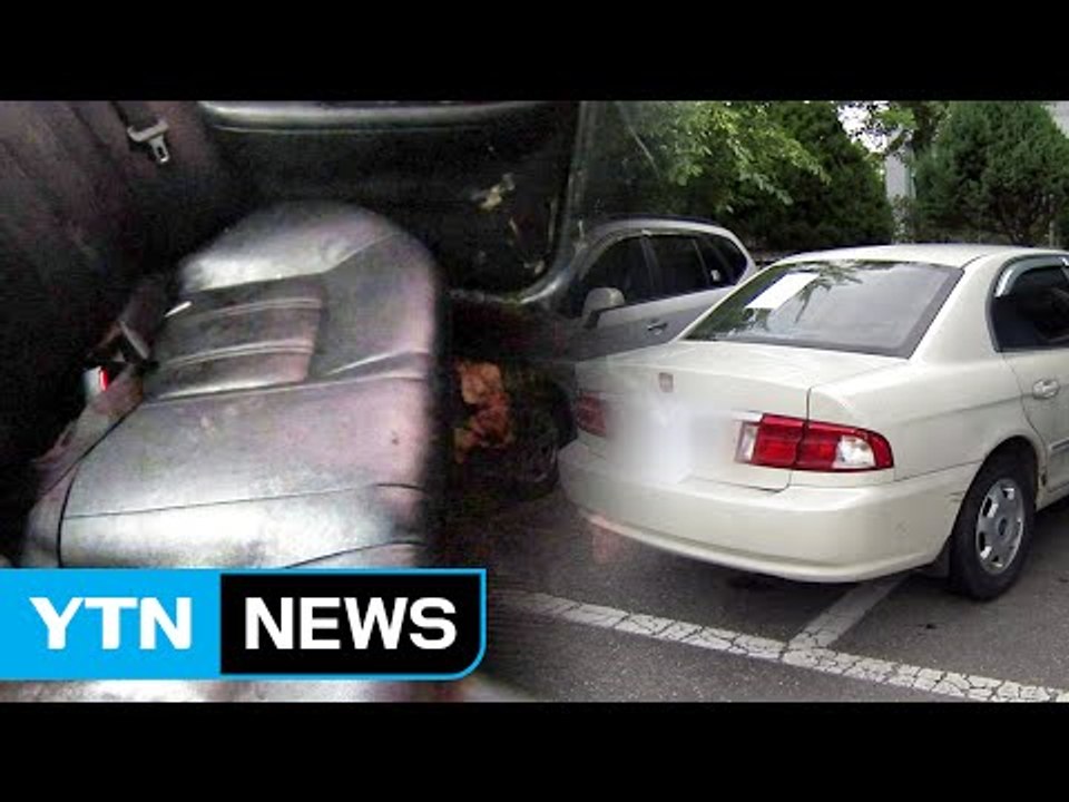 차량 뒷좌석서 마대자루에 담긴 시신 발견 / YTN (Yes! Top News)