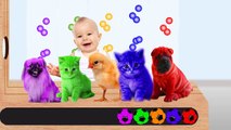 Learn Colors with Colorful Pop Cake Pencil Wrong Heads Colors Learn - Finger Family Song for Babies