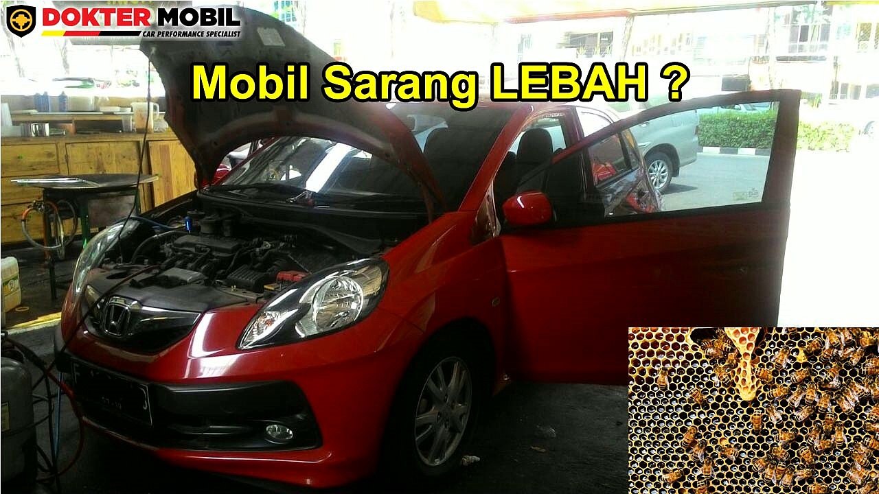 Mobil sarang lebah
