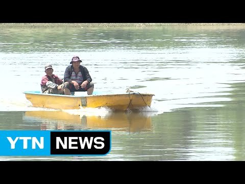 [중점] 장맛비에 황강댐 방류까지...어민 생계 막막 / YTN (Yes! Top News)