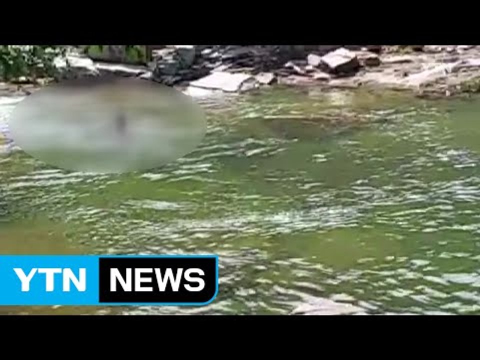 괴산 계곡에서 물놀이하던 20대 물에 빠져 중태 / YTN (Yes! Top News)