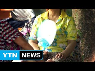 '폭염' 비상...건강한 여름나기 방법은? / YTN (Yes! Top News)
