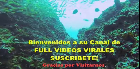 Julian gil nuevamente estalla contra marjorie sousa