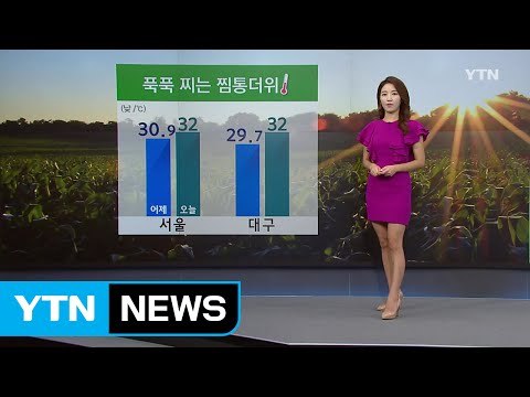 [날씨] 푹푹 찌는 찜통더위...서울 낮 32도 / YTN (Yes! Top News)