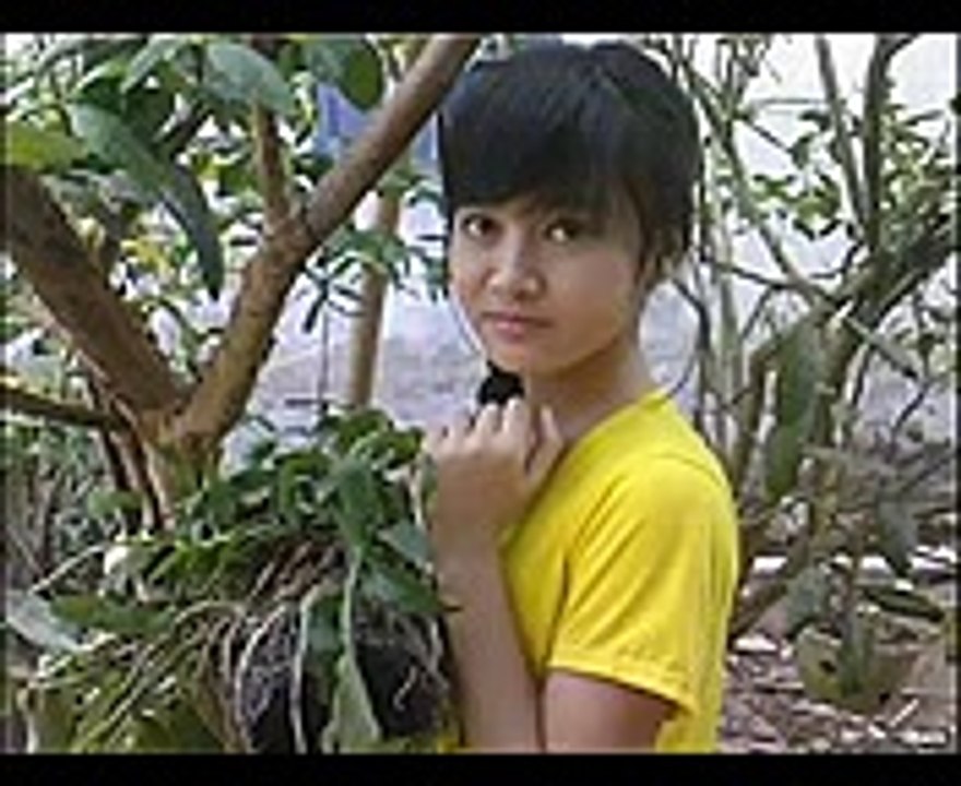 5 anh em siêu nhân (2)
