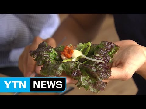 채솟값 폭등...한 달 새 상추 375%↑ 깻잎 109%↑ / YTN (Yes! Top News)