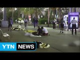 프랑스 니스 트럭 테러...IS 소행? / YTN (Yes! Top News)