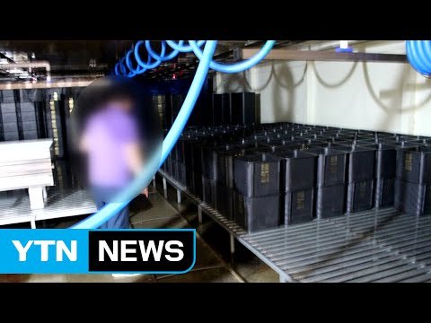 '친환경인증' 속여 학교 등에 콩나물 공급 / YTN (Yes! Top News)