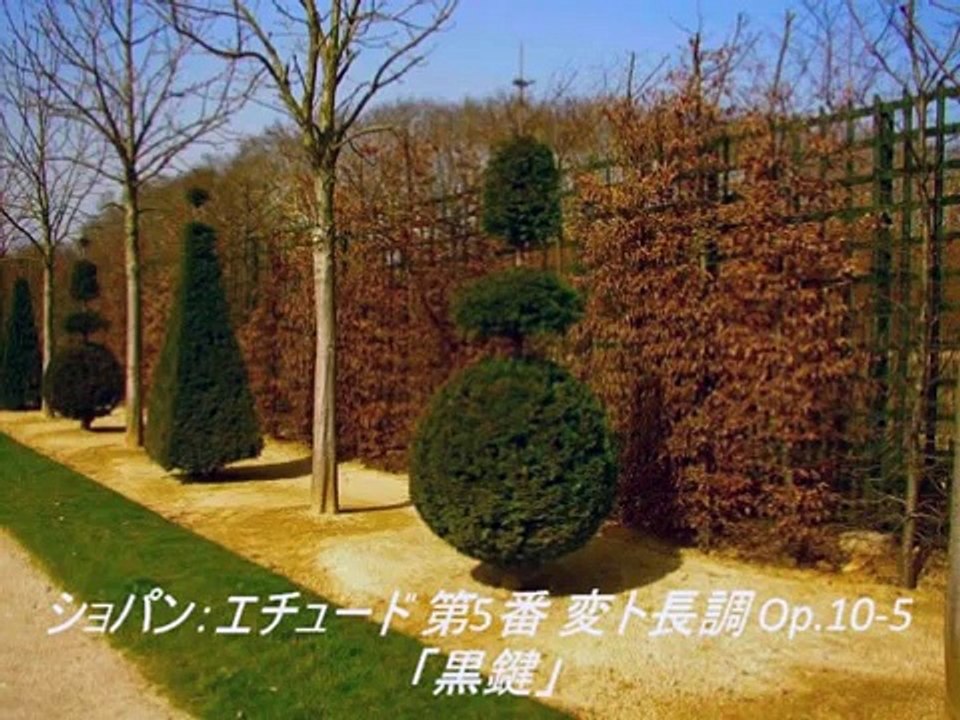 クラシック名曲 ピアノ練習曲 エチュードメドレー 8曲 (ショパン)