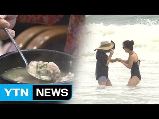 보양식·물놀이로 더위를 즐겨라! / YTN (Yes! Top News)