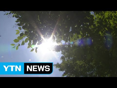 [날씨] 전국 찜통더위 기승...출근길 안개 주의 / YTN (Yes! Top News)