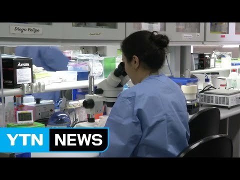 모기도 성접촉도 없이 지카 감염...'지카 미스테리' / YTN (Yes! Top News)