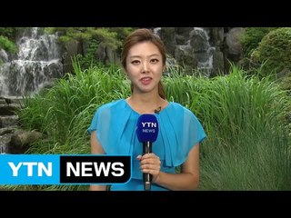 [날씨] 내일도 찜통더위...나무 그늘 체감온도↓ / YTN (Yes! Top News)