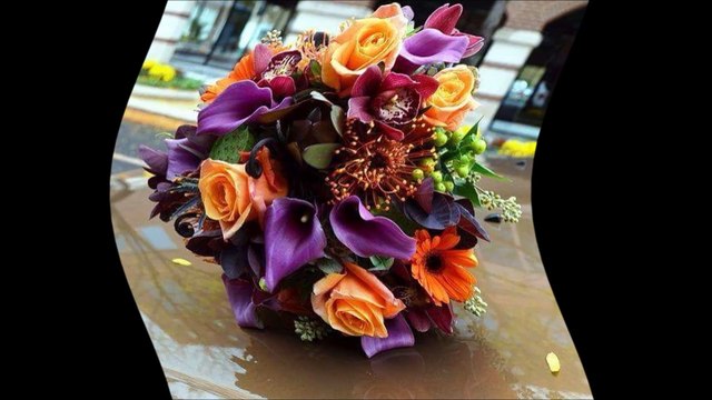 cheb Khalas et cheba Ghania ( hobbi ellouel ) , الشاب خلاص و الشابة غنية ( حبي اللول )