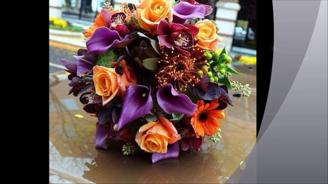 cheb Khalas et cheba Ghania ( mekhemmemti ) , الشاب خلاص و الشابة غنية ( ماخممتي )