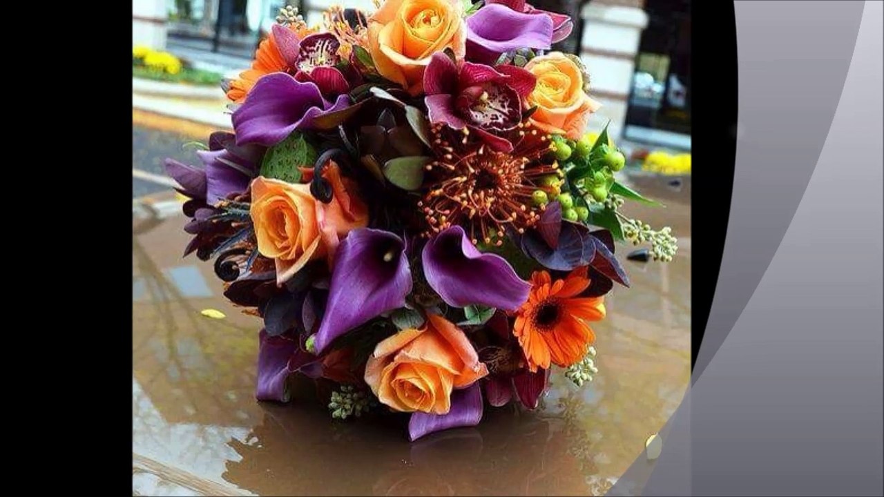 cheb Khalas et cheba Ghania ( mekhemmemti )  ,  الشاب خلاص و الشابة غنية ( ماخممتي )