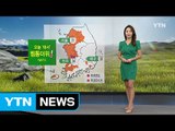[날씨] 오늘 '대서' 무더위 계속...서쪽지방 폭염 특보 / YTN (Yes! Top News)