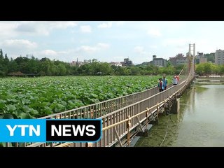 "덥다 더워"..."그래도 이열치열" / YTN (Yes! Top News)
