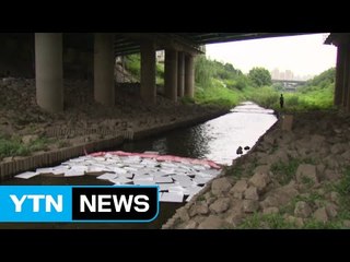 상암 월드컵경기장서 기름 유출...하천 유입 / YTN (Yes! Top News)