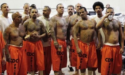 Criminal Minds -  Rookie Behind Bars