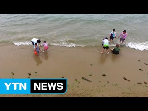 완도 명사십리 4km 모래 해변에 피서객 몰려 / YTN (Yes! Top News)