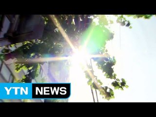 [날씨] 밤사이 열대야, 한낮 폭염 / YTN (Yes! Top News)