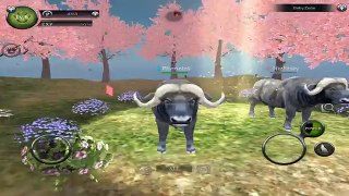 Wild Animals Online - Group of Buffalo - Android/iOS - Gameplay Episode 13