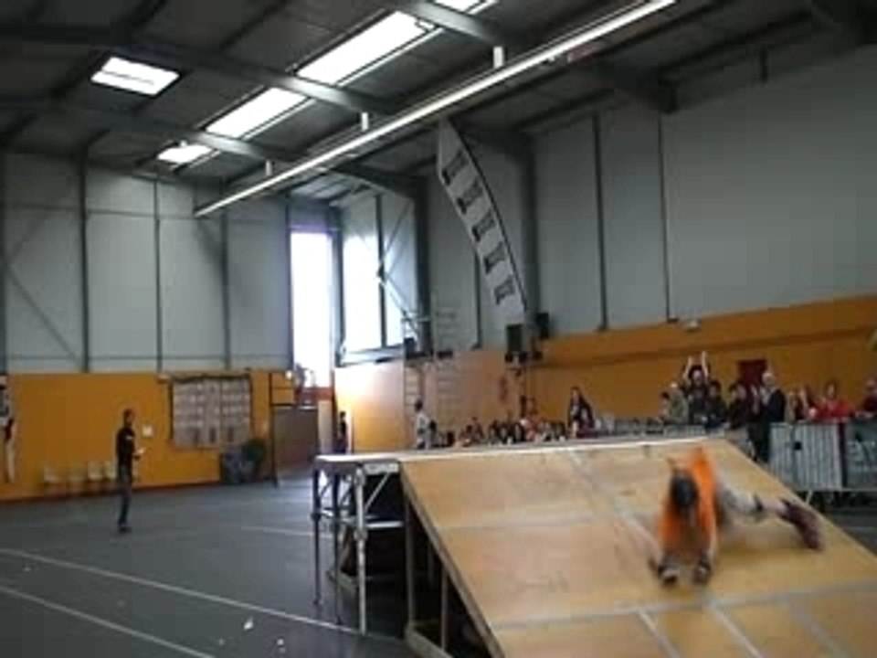 loann contest sauterelles