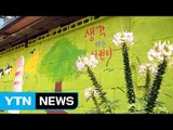 쓰레기 천지 동네 '테마 마을' 환골탈태 / YTN (Yes! Top News)