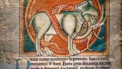 The Dragon Chronicles (Nature Documentary, Full Length)
