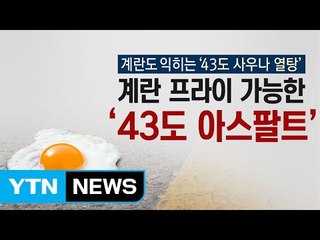 지구 최고 기온 '54도'...어느 정도의 '뜨거움'일까요? / YTN (Yes! Top News)