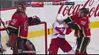 Justin Abdelkader vs Troy Brouwer Nov 9, 2017 (1)