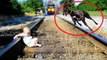 Dogs Protecting Babies Kids - Loyal Dog Doesn't Allow Anything Danger to the Owner